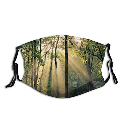 ForestMorning Sunrays Through Trees Summertime Countryside Scenic ViewGreen Beige Black Reusable Face Mask Balaclava Washable Outdoor Nose Mouth for Men and Women