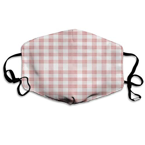 Dustproof Windproof Face MaskWashable ClothFace CoverCover for Dust Adult Picnic in Countryside Themed Gingham Pattern in Light Colors
