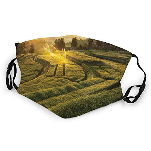 Activated Carbon Funny maskBarley Field Sunset At Samoeng Chiang Mai Thailand Asian Nature Countryside PicturePrinted Facial decorations for kids child