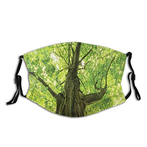 Comfortable Printed maskOld Big Majestic Tree Environment Countryside Eco Solidarity National Park SceneryWindproof Facial decorations for man and woman