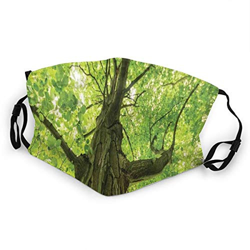 Activated Carbon Funny maskOld Big Majestic Tree Environment Countryside Eco Solidarity National Park SceneryPrinted Facial decorations for kids child