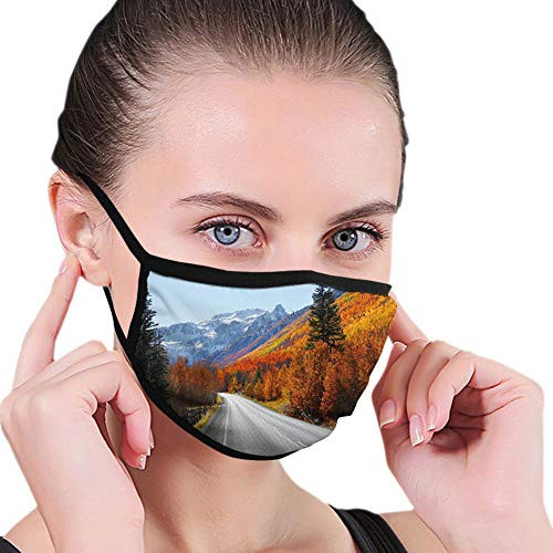 Fuuny Activated carbon filter mask Facial decorations for man woman Highway Through The Countryside American Landscape Snowy