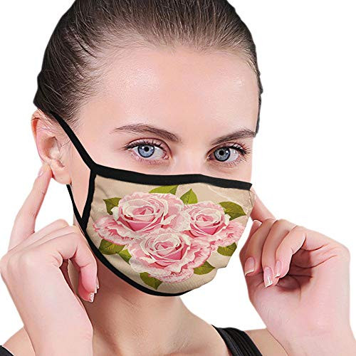 Comfortable Activated Carbon maskPink Bouquet of Valentines Roses Retro Love Romance Theme Grunge DisplayFashion Facial decorations for Man and woman Comfortable Activated Carbon maskPink Bouquet of Valentines Roses Retro Love Romance Theme Grunge DisplayFashion Facial decorations for Man and woman