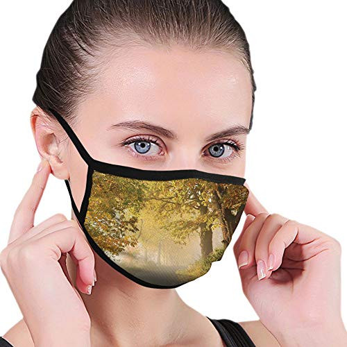 Fuuny Activated carbon filter mask Facial decorations for man woman Rural Road in a Misty Autumn Morning Countryside Pathway