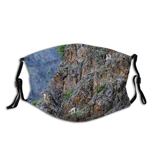 Dall Sheep On Side Chugach Mountain Alaska Nature Fashion PM2.5 Breathable Print Mouth Cover Unisex Face Guard Reusable Black
