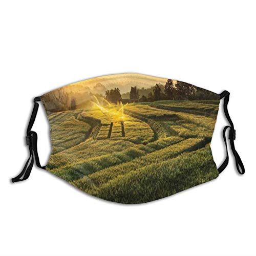 Barley Field Sunset at Samoeng Chiang Mai Thailand Asian Nature Countryside Picture Face Mask Reusable Washable Masks Cloth for Men and Women Barley Field Sunset at Samoeng Chiang Mai Thailand Asian Nature Countryside Picture Face Mask Reusable Washable Masks Cloth for Men and Women
