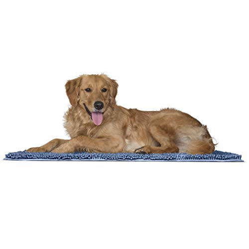 Furhaven Pet Dog Mat - Muddy Paws Absorbent Chenille Shammy Bath Towel and Food Mat Rug for Dogs and Cats Blue Large