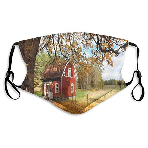 Windproof Activated Carbon Comfortable mask-Quaint Traditional Red Swedish House mask Tranquil Environment Cottage Countryside WoodsWindproof Facial decorations for Child