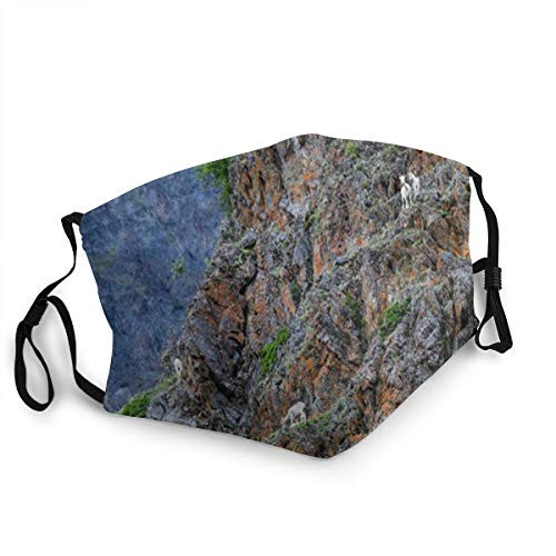 Dall Sheep On Side Chugach Mountain Alaska Nature Mouth Cover for WomenFace Mask Reusable WashableMask Cloth WashableFace Masks Washable Cloth Men