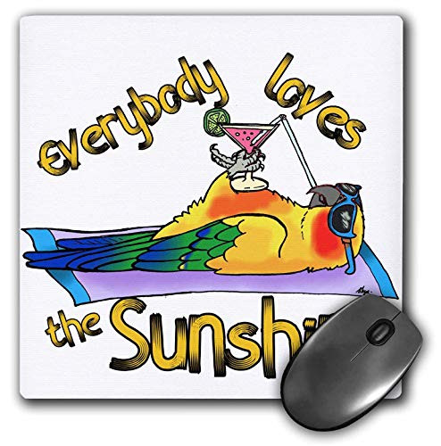 3dRose Skye Elizabeth Designs - Sun Conure on a Beach Towel - Mousepad -mp_320521_1-