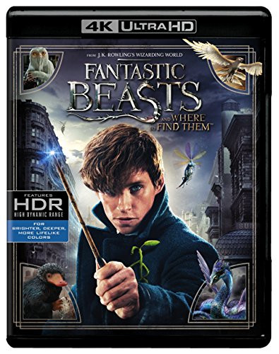 Fantastic Beasts and Where to Find Them -4K Ultra HD  Plus Blu-ray -