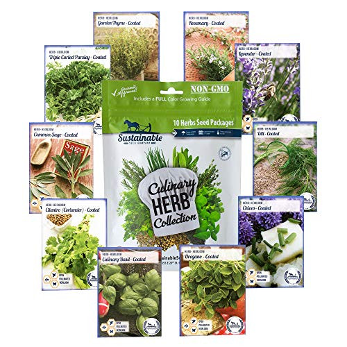 Culinary Herb Seeds Variety Pack - Outdoor  and  Indoor Herb Garden Kit - 10 Non-GMO Herb Garden Seeds for Planting - Basil Seeds Cilantro Seeds Lavender Seeds Rosemary Seeds Thyme Seeds  and  More