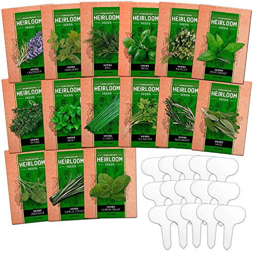 15 Culinary Herb Seed Vault - Heirloom and Non GMO - 4500 Plus Seeds for Planting for Indoor or Outdoor Herbs Garden Basil Cilantro Parsley Chives Lavender Dill Marjoram Mint Rosemary Thyme