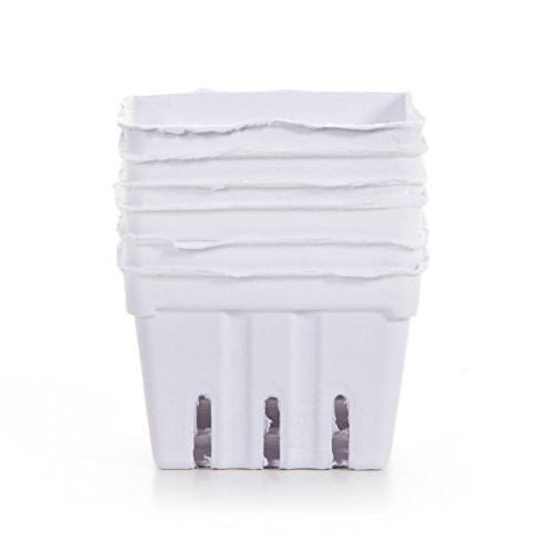 Darice White Paper Berry Basket 6 Piece