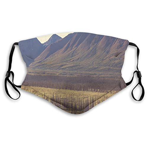 Activated Carbon Filter Windproof mask for Unisex AdultMountain and River in Alaska American Countryside Idyllic Rustic PhotoPrinted Facial Decorations