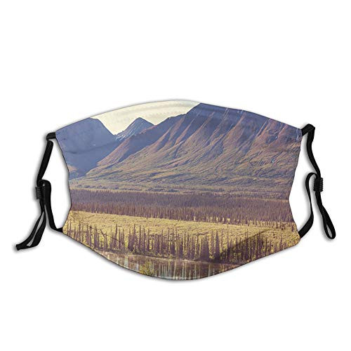 Comfortable Activated carbon mask Mountain and River in Alaska American Countryside Idyllic Printed Facial decorations for adult