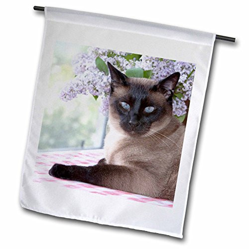 3dRose Danita Delimont - Cats - Siamese cat on Tablecloth with Lilacs - NA02 PWO0102 - PiperAnne Worcester - 18 x 27 inch Garden Flag -fl_140344_2- 3dRose Danita Delimont - Cats - Siamese cat on Tablecloth with Lilacs - NA02 PWO0102 - PiperAnne Worcester - 18 x 27 inch Garden Flag -fl_140344_2-