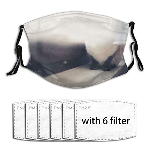 Cat Behind Curtain Creative Funny Pm2.5 Fives-Layer Non-Woven Fabric Meltblown Fabric 16 Replaceable Filter Elements