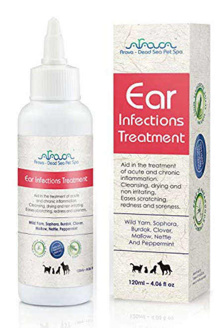 Arava Natural Ear Infection Treatment - for Cats  and  Dogs - Pet Otic Ear Care Solution - Antibacterial Antifungal Anti Yeast Anti Itch Effective Ear Cleaner - First Aid in Acute  and  Chronic Inflammations Arava Natural Ear Infection Treatment - for Cats  and  Dogs - Pet Otic Ear Care Solution - Antibacterial Antifungal Anti Yeast Anti Itch Effective Ear Cleaner - First Aid in Acute  and  Chronic Inflammations