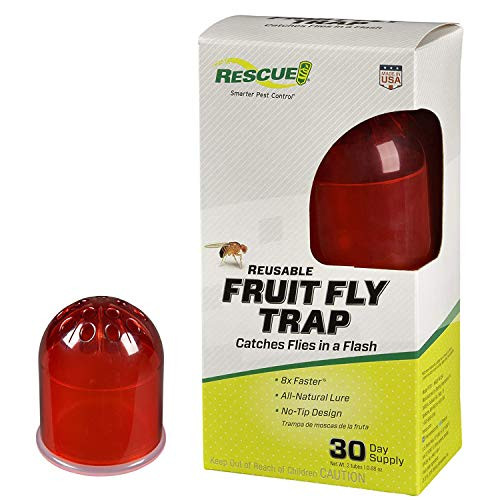 RESCUE Indoor Non-Toxic Reusable Fruit Fly Trap with Liquid Attractant