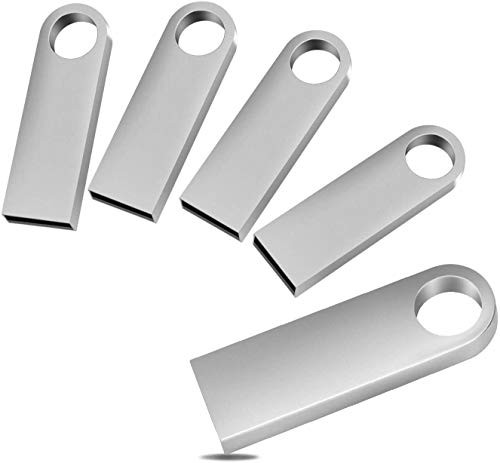 5 X 32GB USB Flash Drive 2.0 Memory Stick Thumb Drives with Keychain Pen Drive Jump Drive Data Storage Sticks(32GB, Silver)