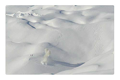 LESGAULEST Doormat Floor Rug/Mat (23.6 x 15.7 inch) - Snow Peaks Mountain Slopes Winter Nature