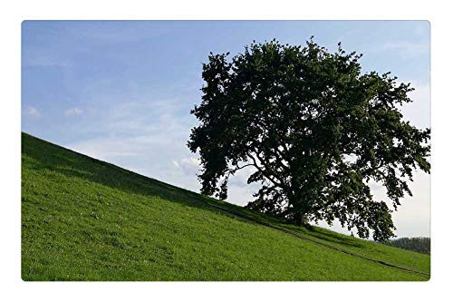 LESGAULEST Doormat Floor Rug/Mat (23.6 x 15.7 inch) - Tree Hill Slope Meadow Green Sky Landscape