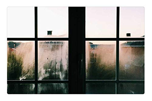 LESGAULEST Doormat Floor Rug/Mat (23.6 x 15.7 inch) - Dirty Glass Glass Panes Pattern Shape Windows