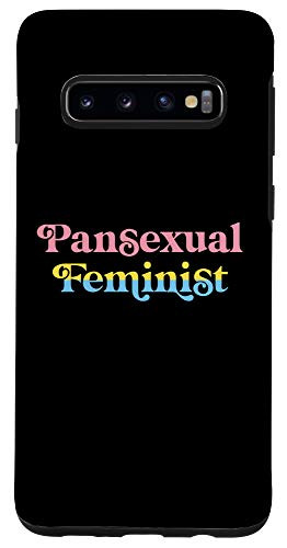 Galaxy S10 Pansexual Feminist LGBTQIA Retro Aesthetic Pan Pride Flag Case
