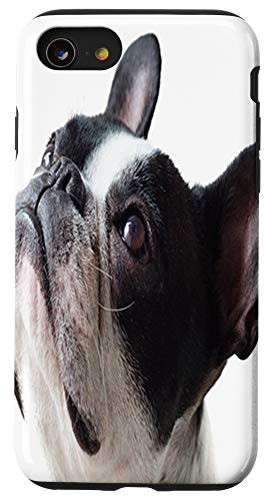 iPhone SE (2020) / 7 / 8 Cute Boston Terrier Dog Case