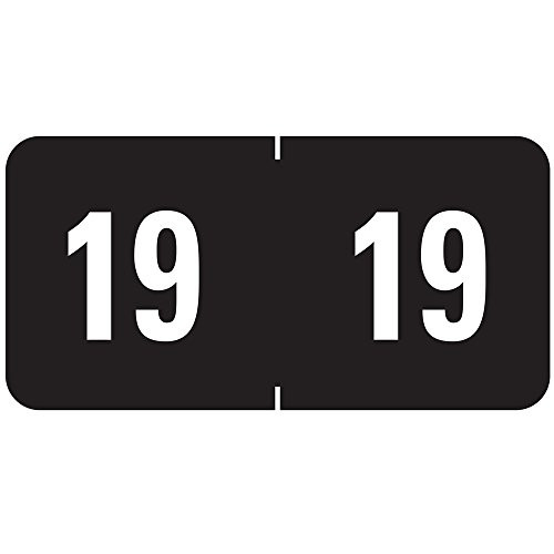 Smead ETS Color-Coded Year Labels, 2019, Black, 250 Labels per Pack (67919)