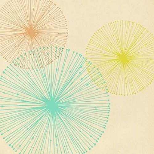 Posterazzi Circle Float Poster Print by Dallas Drotz, (12 x 12)