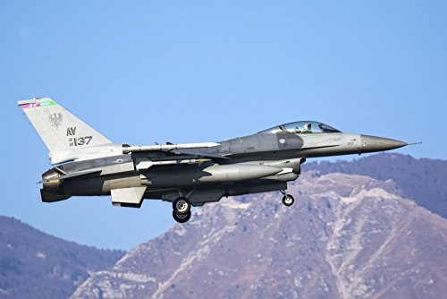 Posterazzi U.S. Air Force F-16C Block 40 Aircraft. Poster Print by Daniele Faccioli/Stocktrek Images, (17 x 11), Varies