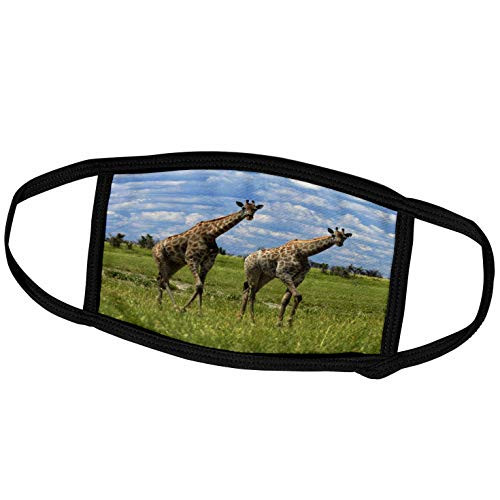 3dRose Giraffe Giraffa camelopardalis, Nxai Pan NP, Botswana, Africa - Face Covers (fc_187904_3)