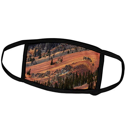 3dRose Colorado, San Juan Mountains, Trees, and Slopes of Anvil Mountain - Face Covers (fc_230411_3)