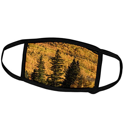 3dRose Autumn Aspen Trees on Mountain Slope, Ouray, Colorado - Face Covers (fc_278696_2)
