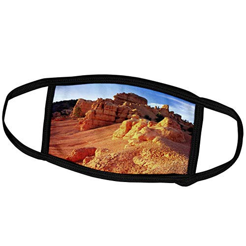 3dRose Limestone, Slopes, Red Canyon, Dixie NF, Utah - US45 SSM0355 -. - Face Covers (fc_94972_2)