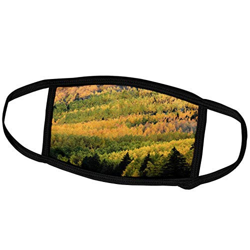 3dRose Danita Delimont - Forests - Autumn, Aspen Trees on Mountain Slope, Crystal Lake, Ouray, Colorado - Face Masks (fm_278682_1) 3dRose Danita Delimont - Forests - Autumn, Aspen Trees on Mountain Slope, Crystal Lake, Ouray, Colorado - Face Masks (fm_278682_1)