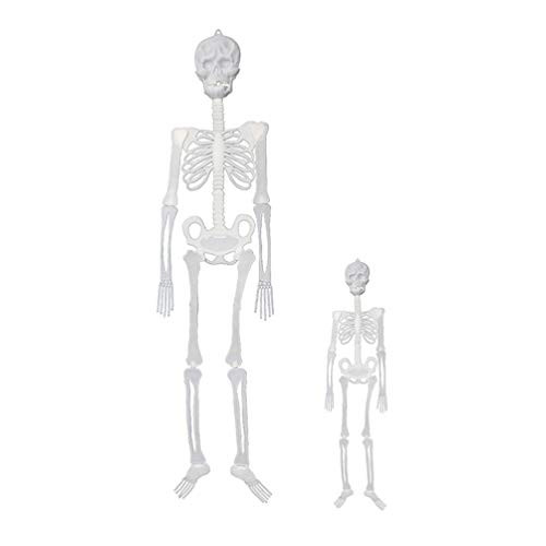 NUOBESTY 2Pcs Halloween Hanging Skeleton Decorations Glow in The Dark Skeleton Halloween Party Outdoor Yard Garden Hanging Ornaments Props