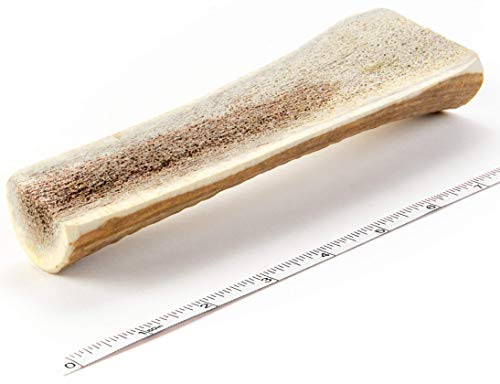 Devil Dog Pet Co Split Antler Dog Chew - Premium Split Elk Antlers for Dogs - Long Lasting for Non Aggressive Chewers - No Mess No Odor - Wild Shed Elk Horns - Veteran Owned (1 Pack, Medium) Devil Dog Pet Co Split Antler Dog Chew - Premium Split Elk Antlers for Dogs - Long Lasting for Non Aggressive Chewers - No Mess No Odor - Wild Shed Elk Horns - Veteran Owned (1 Pack, Medium)