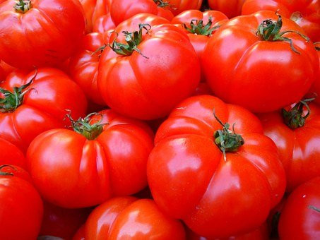 OldLadyRenee: 200 Tomato, Ace 55 Seeds!