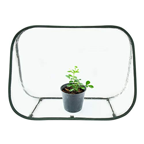 Comlax Mini Greenhouse Pop up Plant Grow House Portable for Indoor  and  Outdoor Garden Backyard Flower Pot Cover/Shelter 35"x20"x24"