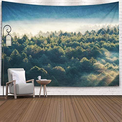 EMMTEEY Marble Tapestry Small,Tapestries Decor Living Room Bedroom for Home Inhouse by Printed 60x60 Inches for Pine Forest on The Mountain Slope in a Nature Reserve