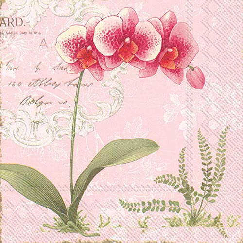 Boston International IHR 20-Count 3-Ply Lunch Paper Napkins, 6.5 x 6.5-Inches, L'Orchidee Light Rose