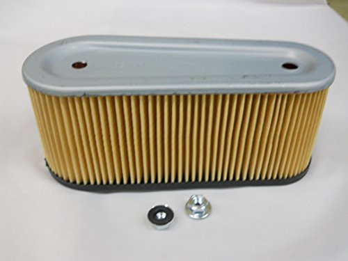 Tecumseh 36356 Air Filter