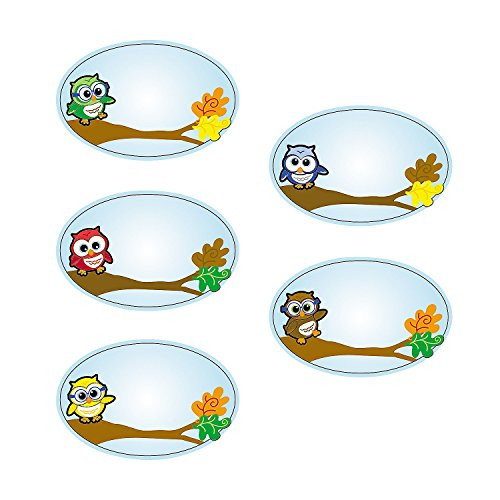 Fun Express Owl Name Tags (100Ct) - 1 Piece - Educational and Learning Activities for Kids