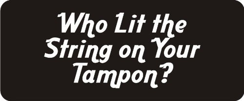 1080 Graphics 3 - Who Lit The String On Your Tampon 1 1/4" x 3" Hard Hat Biker Helmet Stickers Bs581