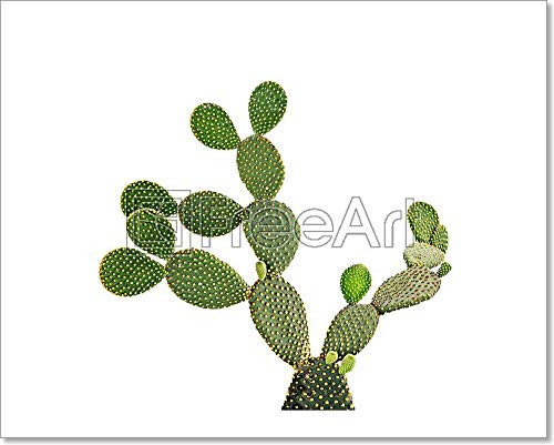 Cactus Paper Print Wall Art (8in. x 10in.)