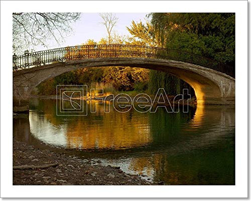 Michigan Park Walk Bridge Paper Print Wall Art (8in. x 10in.)
