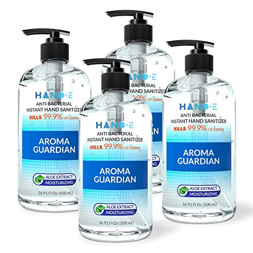 Hand-E Hand Sanitizer Gel Pump - 4 Pack, 16 oz Large Pump Bottle - 75 percent Ethyl Alcohol Based Instant Sanitizing Gel With Moisturizing Aloe - Kills 99.9 percent of Germs - Rinse Free